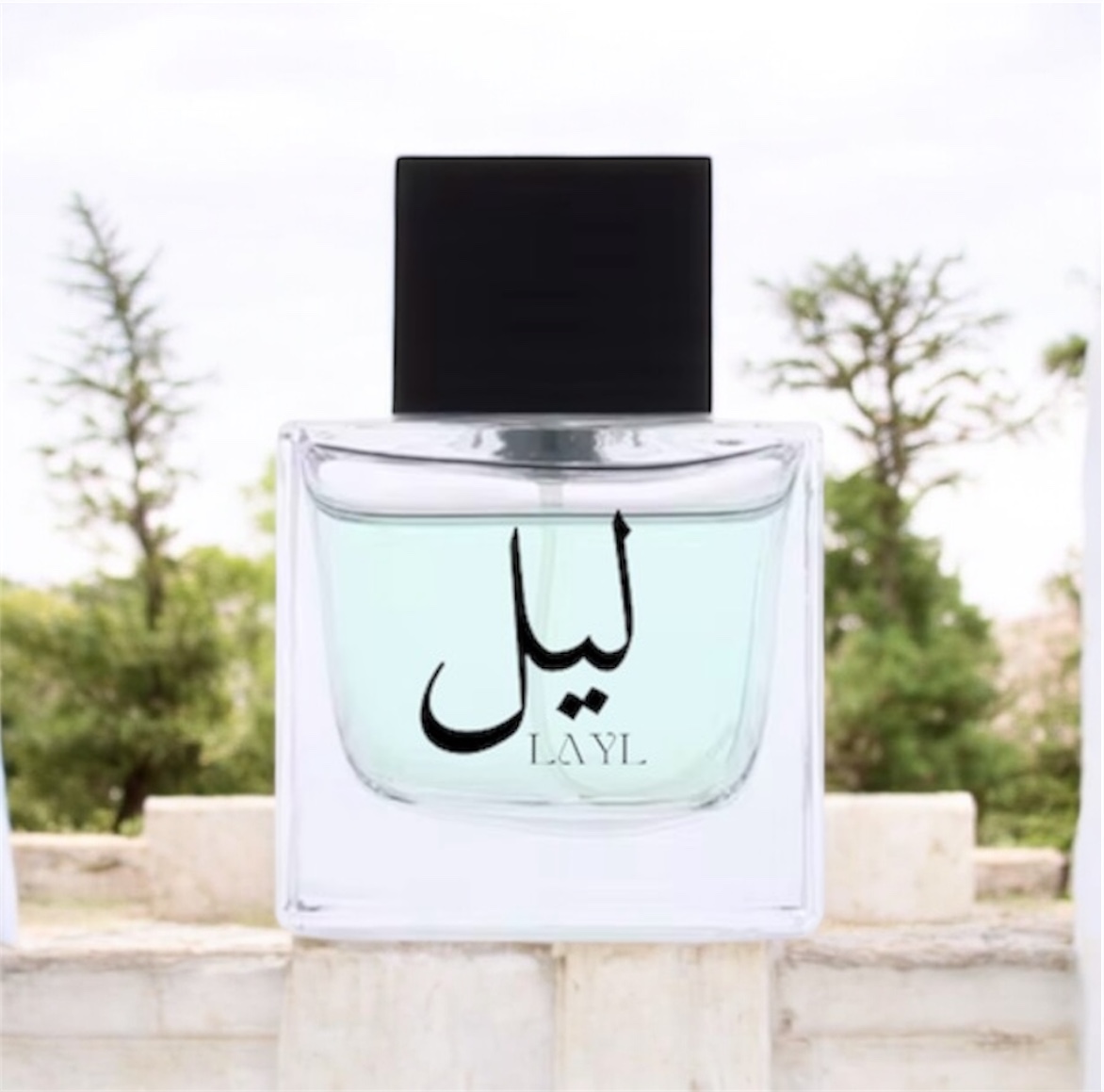 Product category image